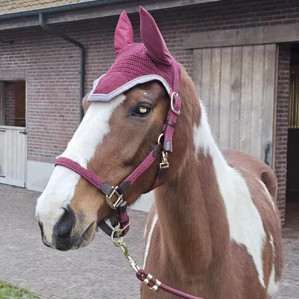Fokmerrie Best Queen T L Z