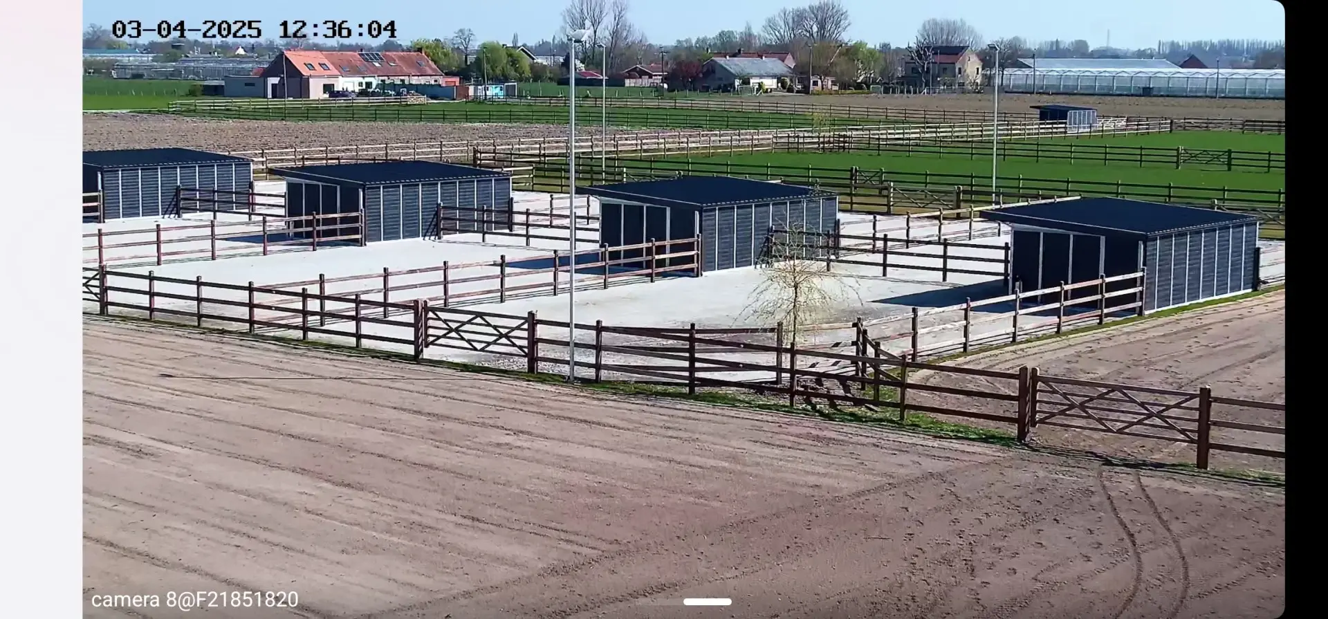 Camerabewaking: zicht op de paddocks met schuilhokken