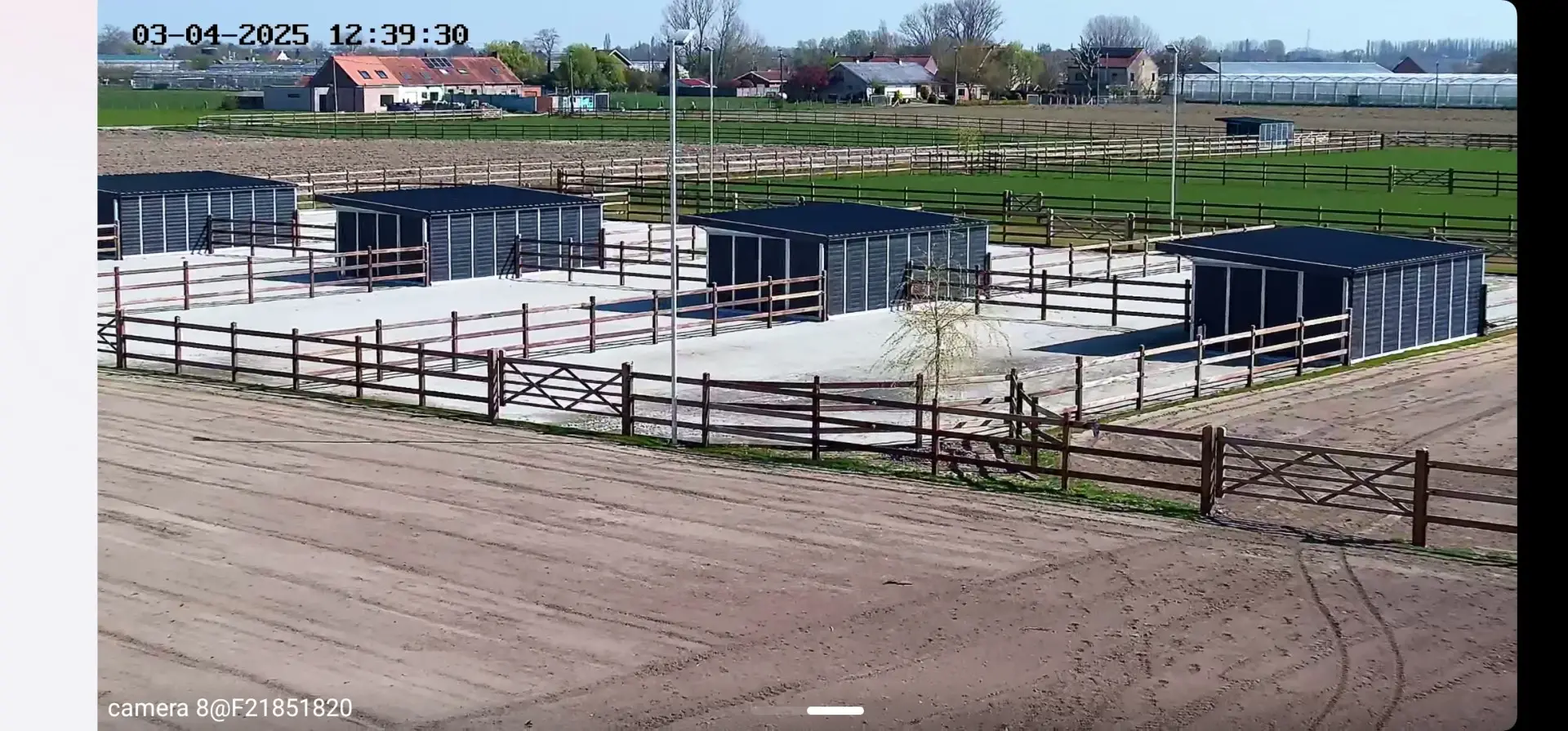 Camerabewaking: dagelijks toezicht op de paddocks