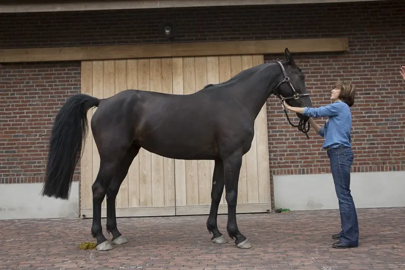 Katrien Deremaux met een van haar paarden voor de stallen
