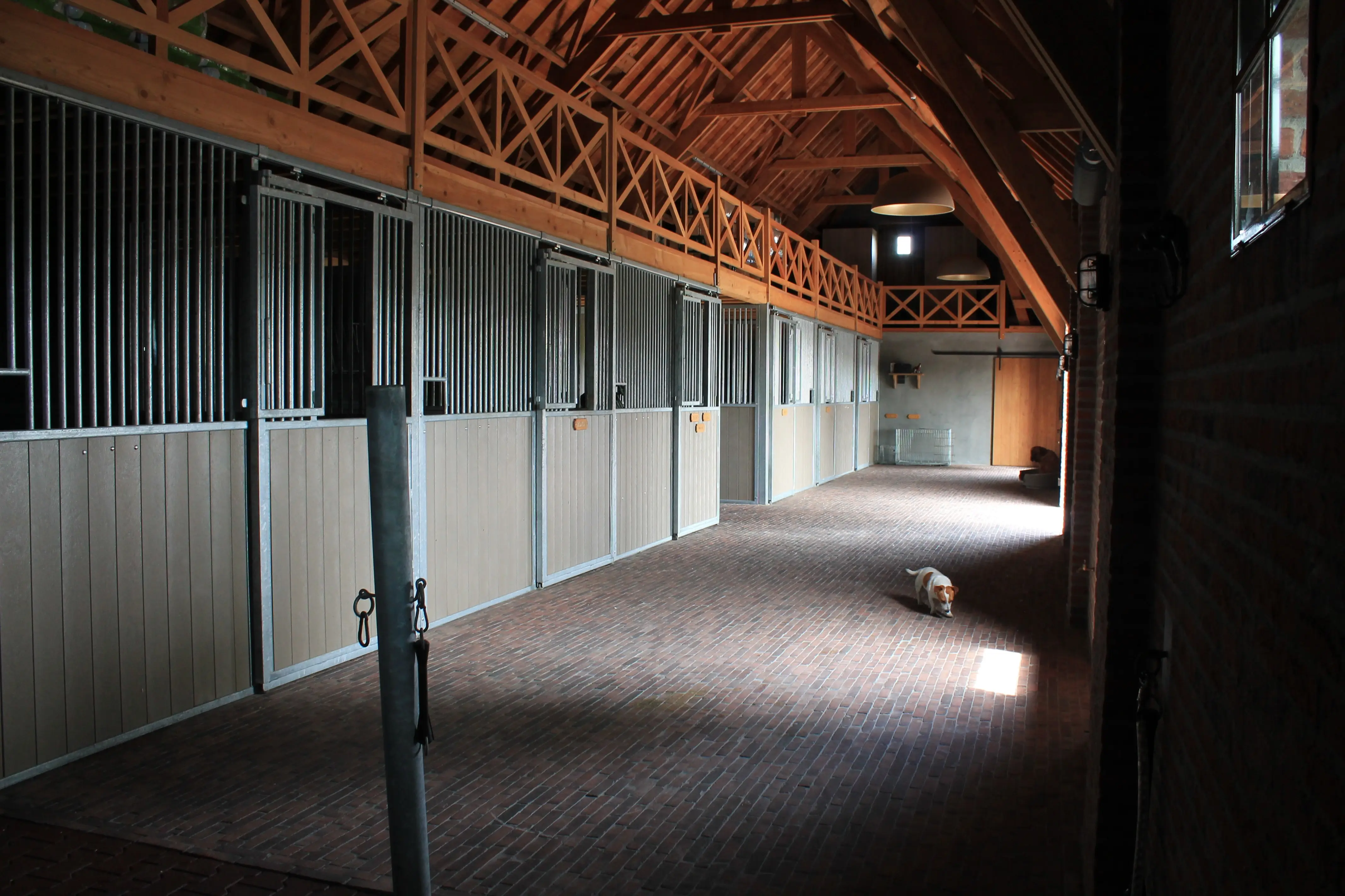 Stalinterieur met ruime boxen en zachte verlichting
